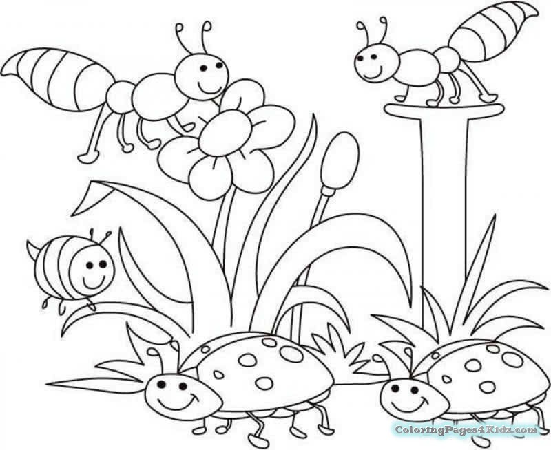 800x654 Cute Spring Baby Chick Coloring Pages Coloring Pages For Kids