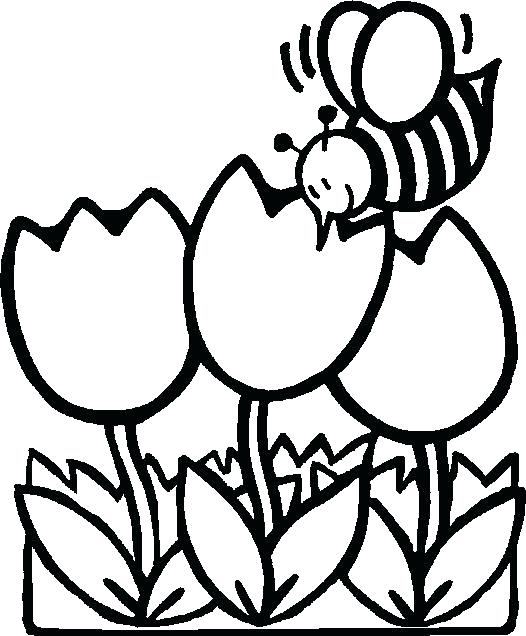 526x636 Free Spring Color Sheets Free Spring Coloring Pages Best Spring