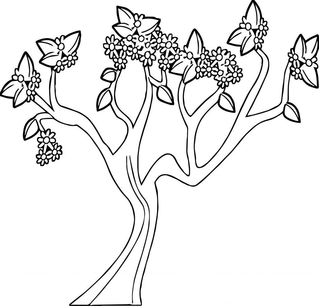 1024x982 Coloring Pages Tree Fu Tom New Coloring Pages Tree Fu Tom Fresh