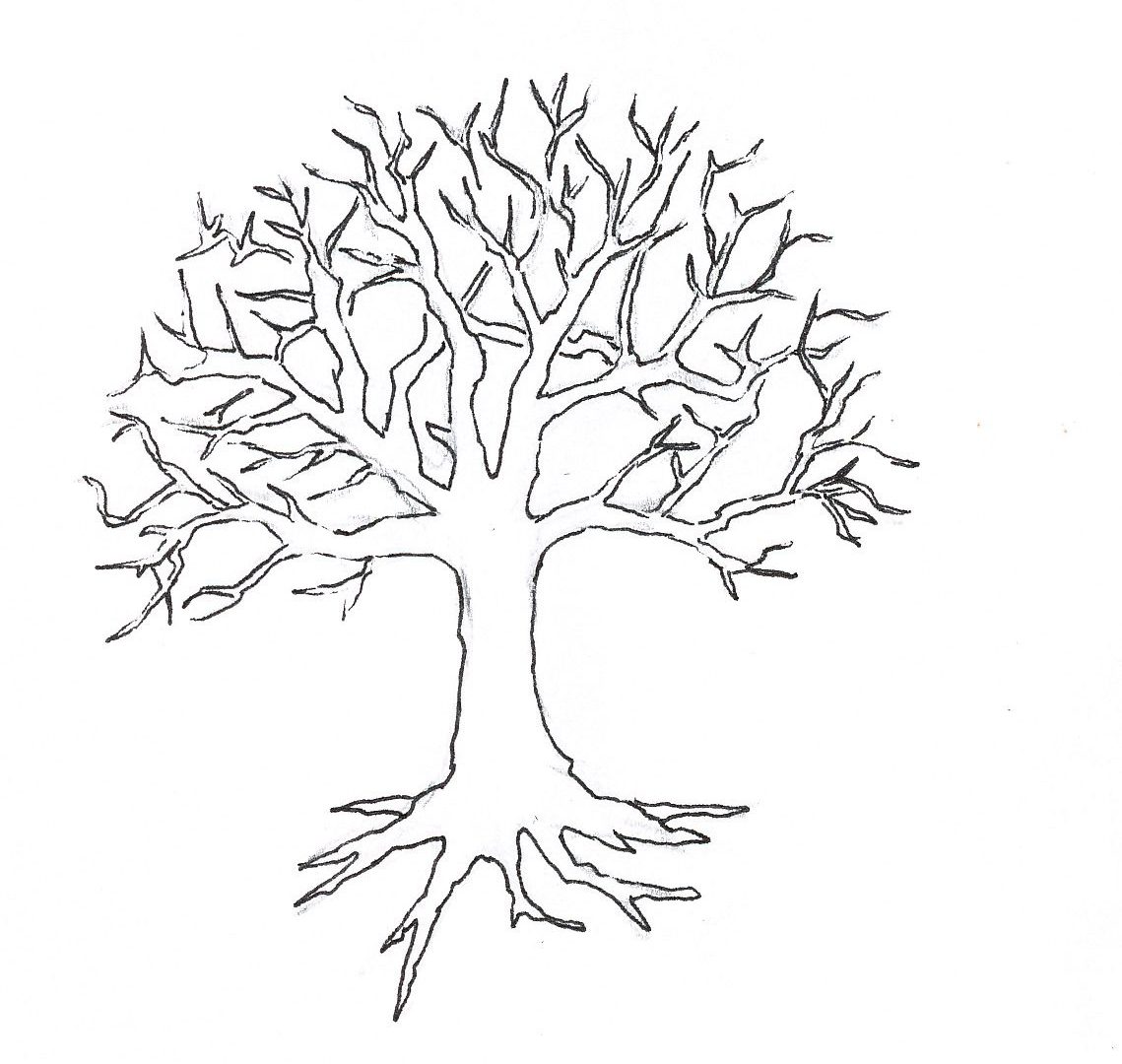 1139x1080 Nevada State Tree Coloring Page Free Printable Pages Kids