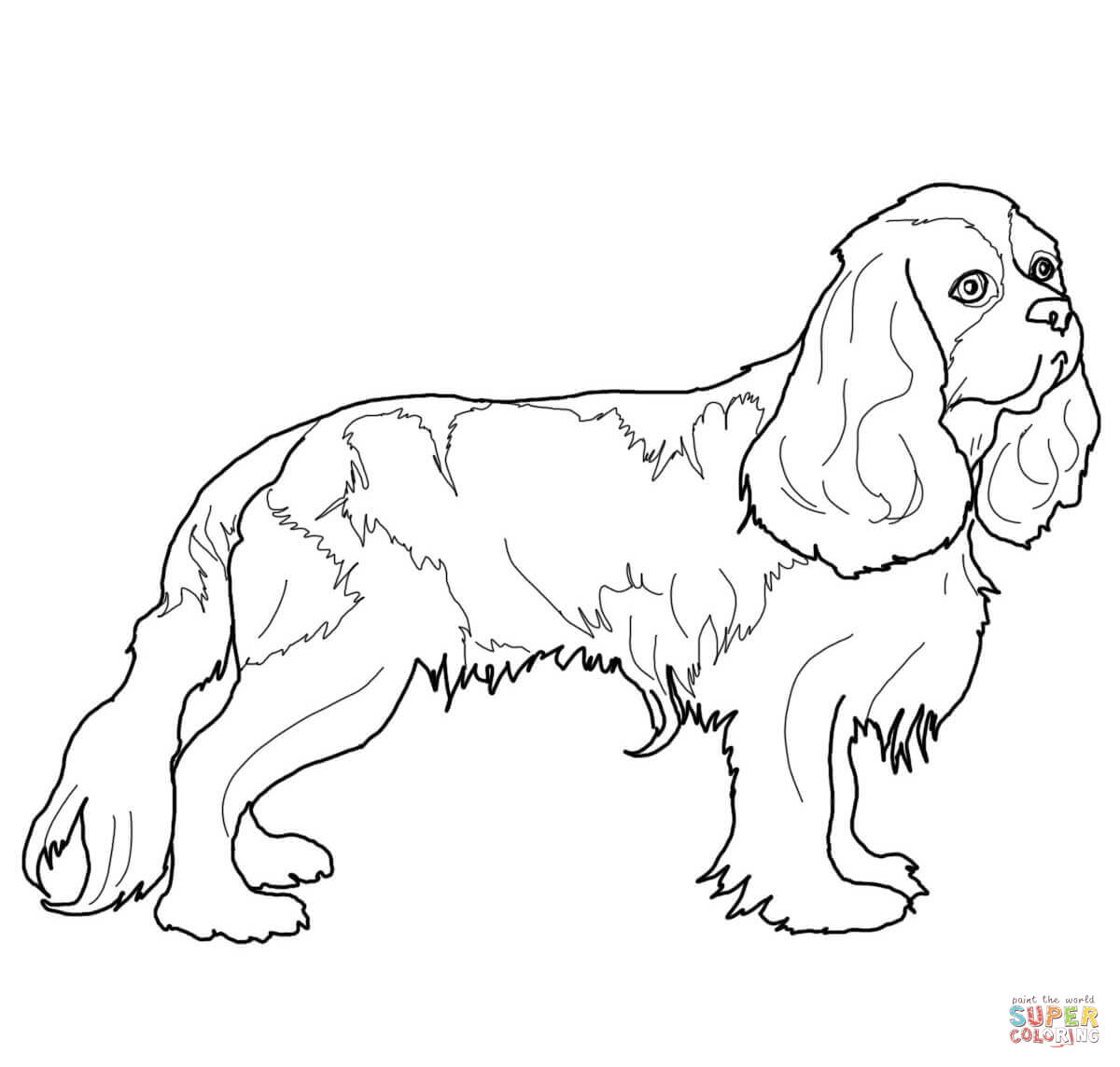 1200x1144 Quality English Springer Spaniel Coloring Pages Page Free