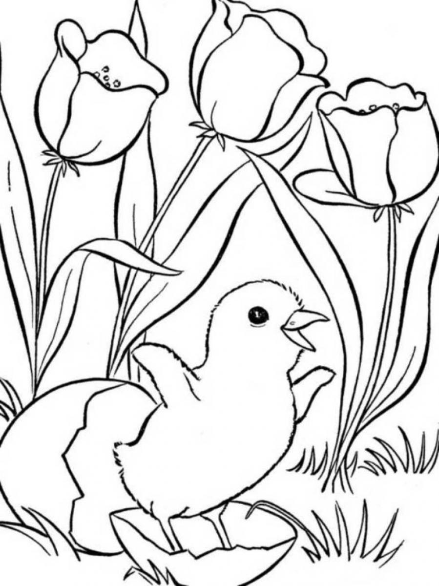 899x1200 Spring Coloring Pages Chicks And Tulips