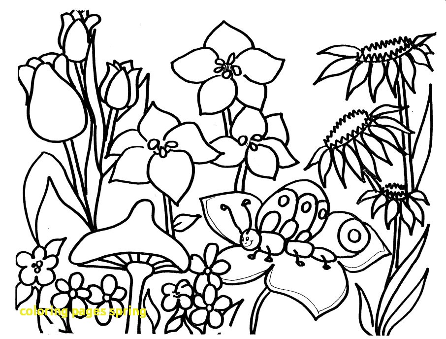 906x688 Coloring Pages Spring With Spring Coloring Pages Printable Open