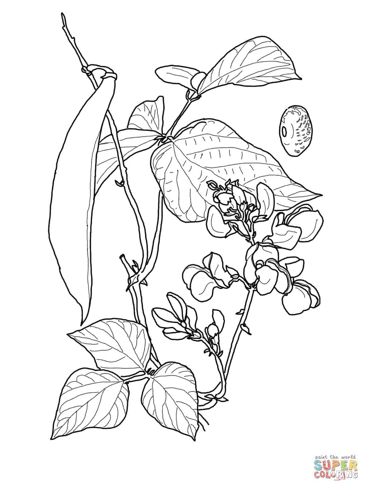 1200x1600 Inspiring Sprout Online Coloring Pages Pics For Solar System