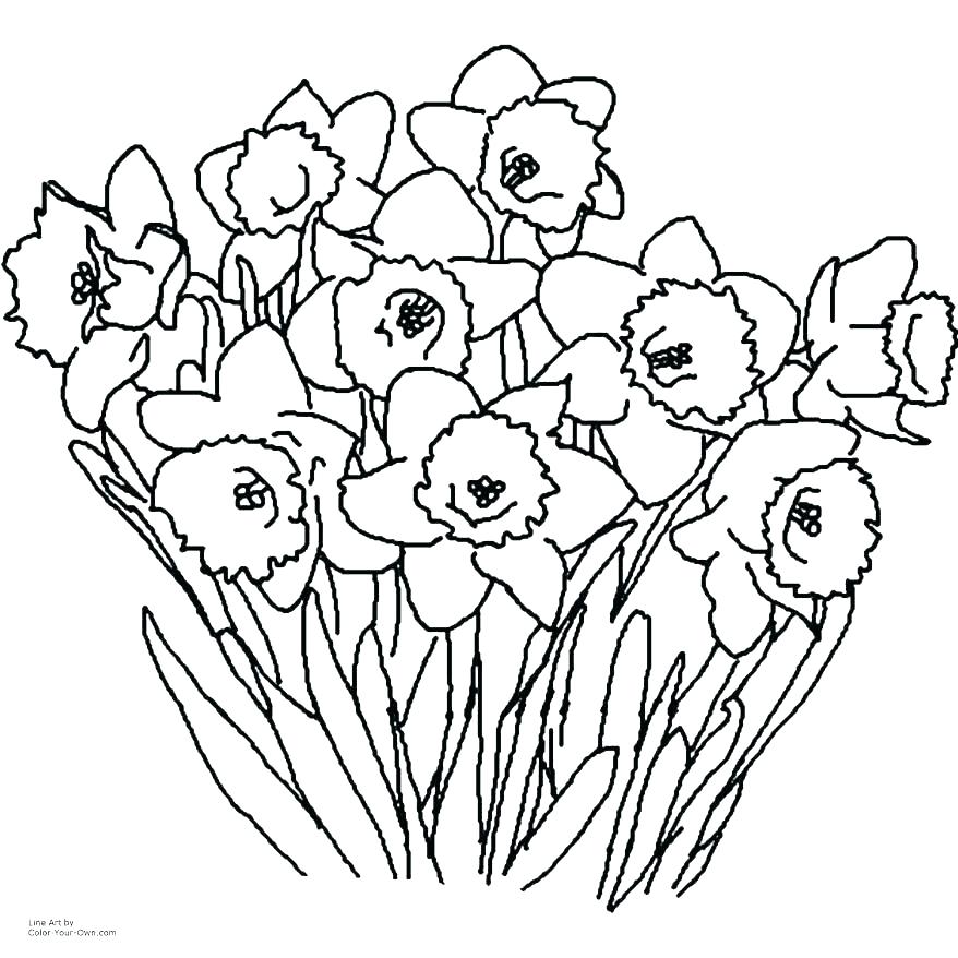 878x878 Wildflower Coloring Pages Spurs Coloring Pages Logos Coloring