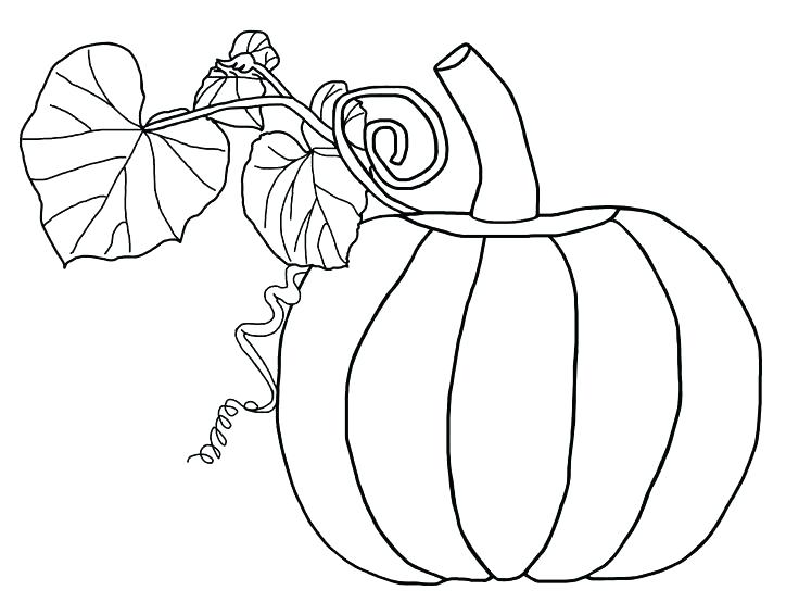 736x566 Pumkin Coloring Pages Pumpkin Coloring Book And Pumpkin Coloring
