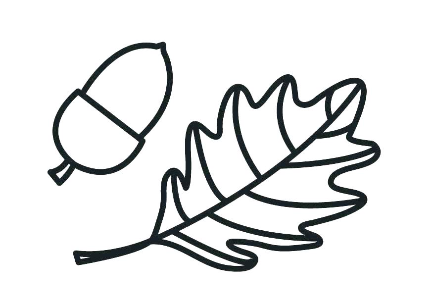 875x620 Squash Coloring Page Acorn Coloring Page Acorn Pictures To Color