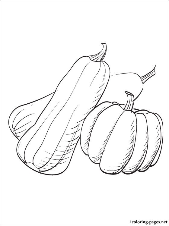 560x750 Summer Squash Or Zucchini Coloring Page Coloring Pages