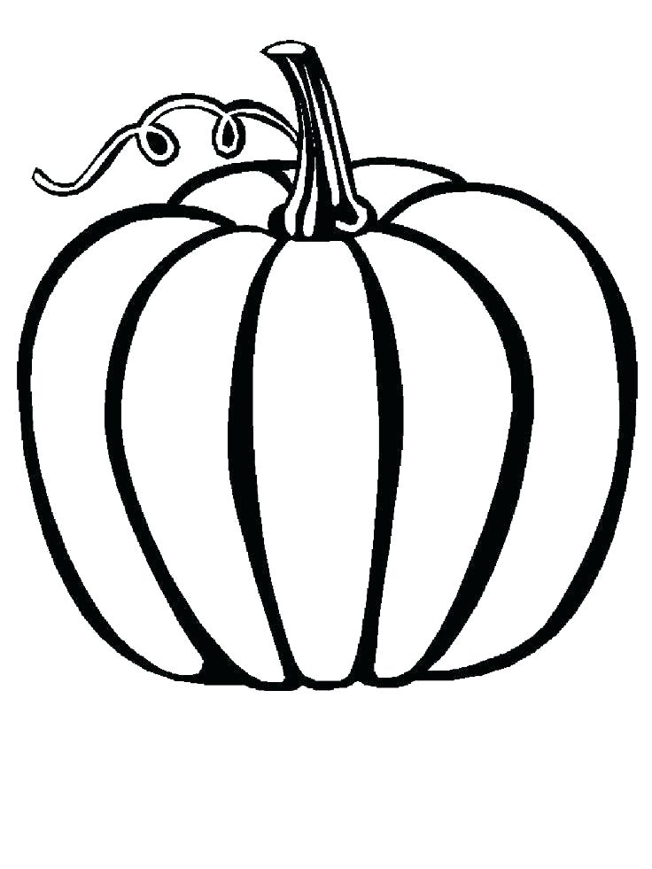736x981 Coloring Squash Coloring Page Innovation Inspiration Pumpkin