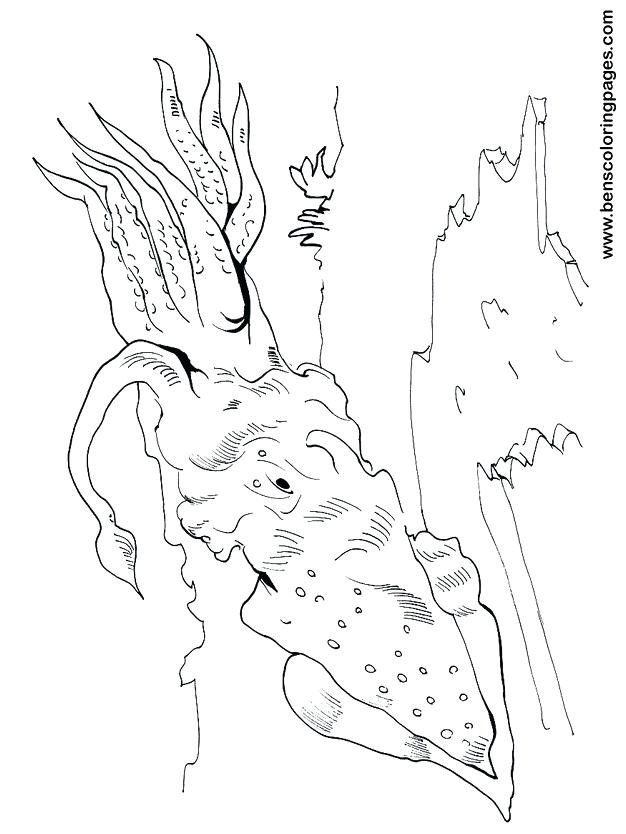 626x834 Squid Coloring Page Squid Coloring Pages Minecraft Squid Coloring