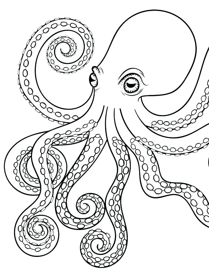 700x924 Squid Coloring Pages Octopus Ocean Coloring Page Squid Coloring