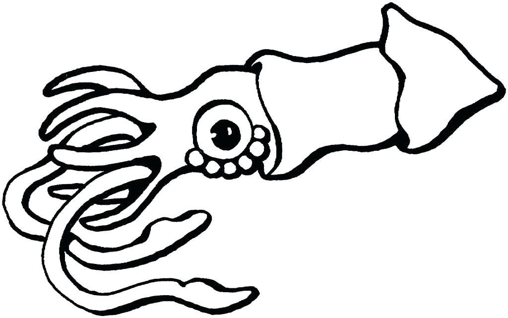 1024x641 Squid Coloring Pages Printable Giant Squid Coloring Page Giant