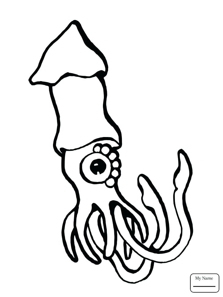 728x971 Squid Coloring Pages Squid Coloring Pages Medium Size Of Squid
