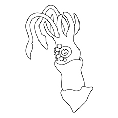 230x230 Top Free Printable Squid Coloring Pages Online