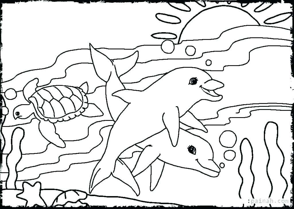 1024x728 Squid Coloring Pages