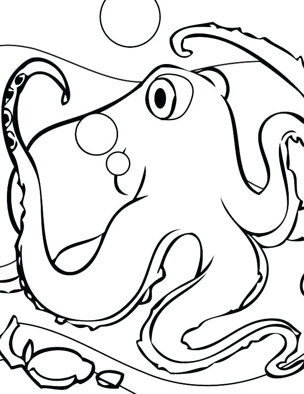 618x800 Giant Squid Coloring Pages Colossal Squid Coloring Pages Coloring
