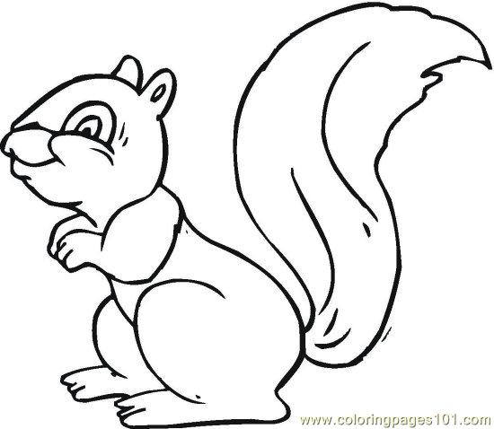 550x478 Squirrel