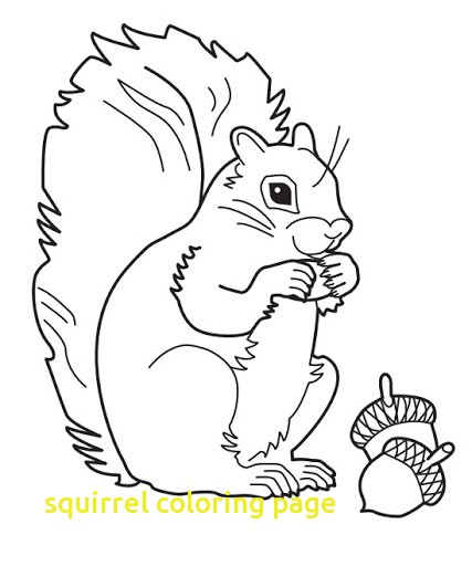 427x512 Gray Squirrel Coloring Page Squirrel Coloring Page With Geography