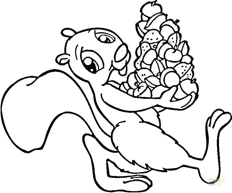 750x623 Squirrel Coloring Page Squirrel Coloring Page Coloring Page