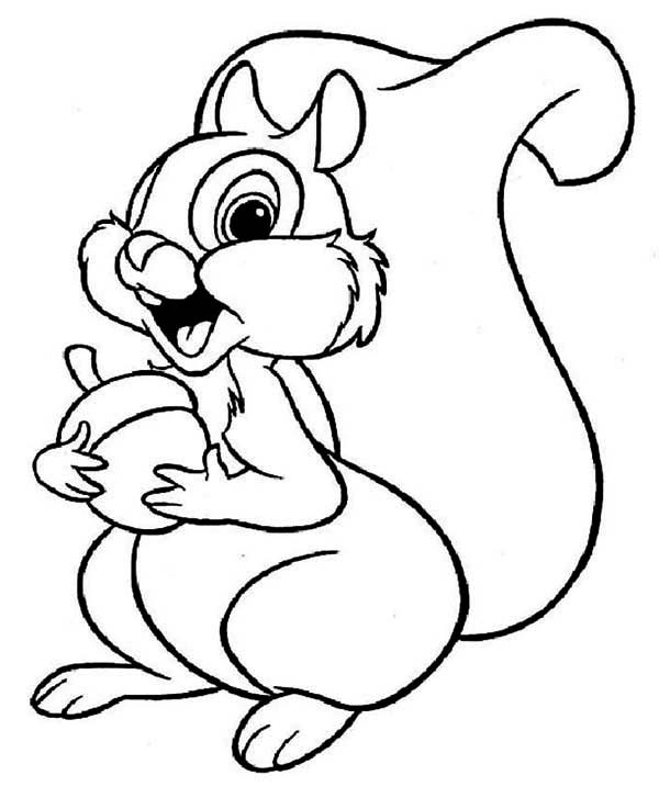 600x737 Squirrel Coloring Pages For Preschool Free Coloring Pages