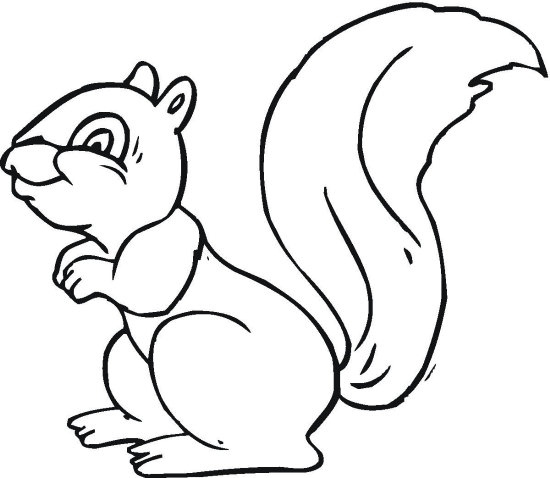 550x478 Squirrel Coloring Page Inspirational Squirrel Free Printable