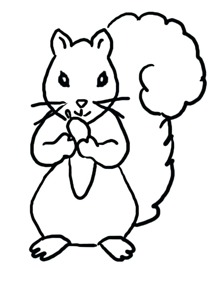 750x1000 Squirrel Coloring Pages Flying Squirrel Coloring Page Flying