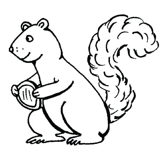 548x537 Squirrel Coloring Pages Squirrel Coloring Pages Coloring Pages