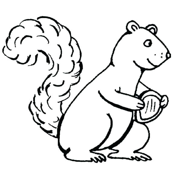 600x588 Amusing Flying Squirrel Coloring Page