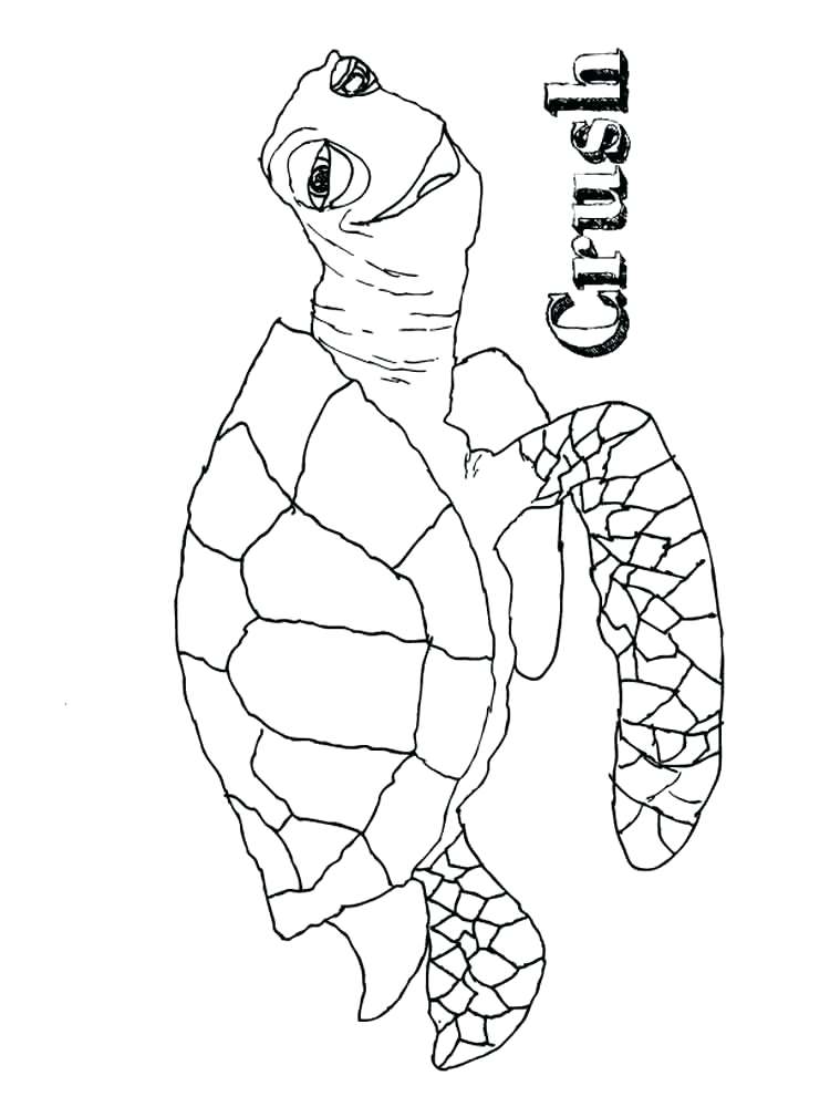750x1000 Finding Nemo Coloring Page Crush And Squirt Coloring Pages Free