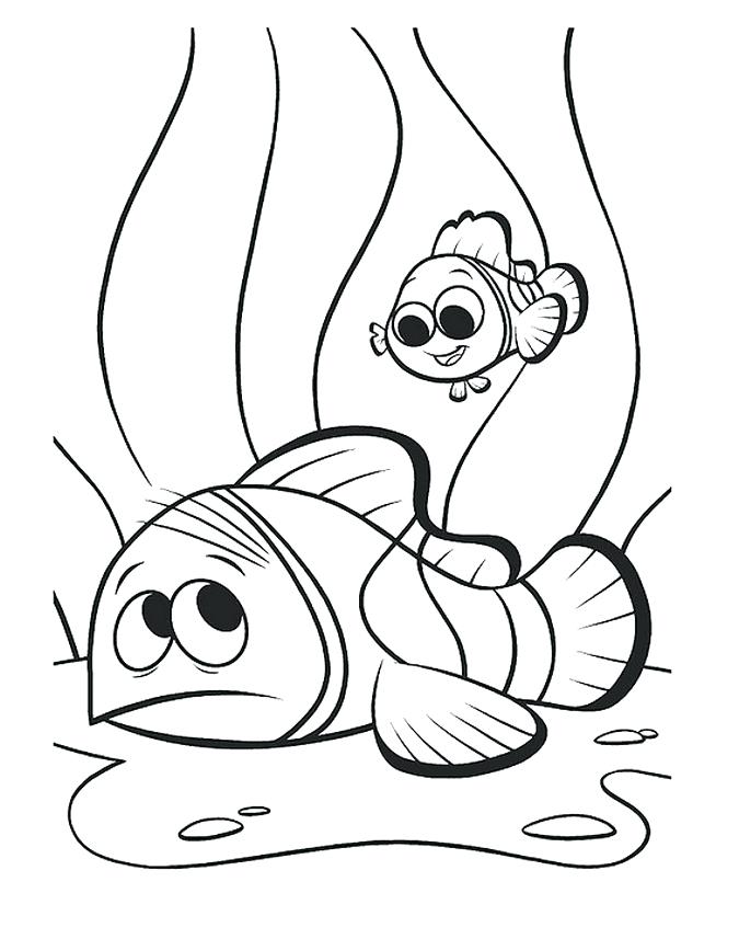 675x857 Nemo Coloring Pages Coloring Pages Nemo Squirt Coloring Pages