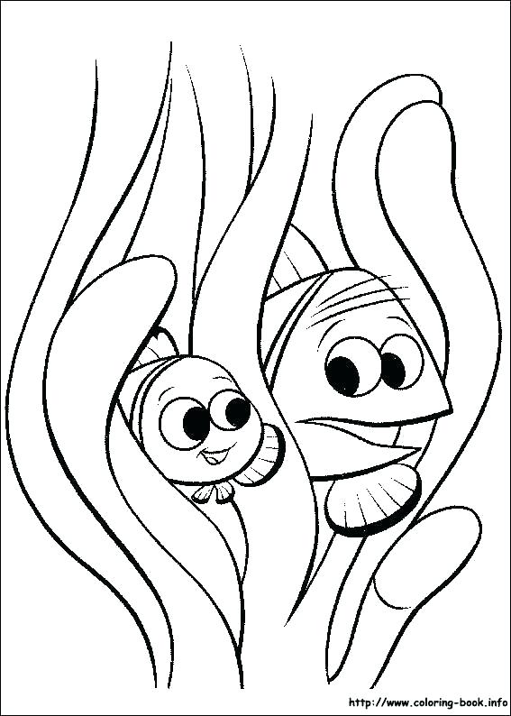 567x794 Nemo Coloring Pages