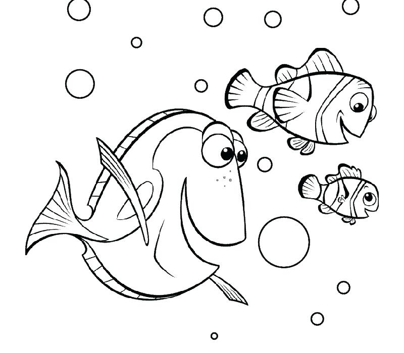 800x700 Nemo Coloring Page Finding Coloring Page Finding Nemo Squirt