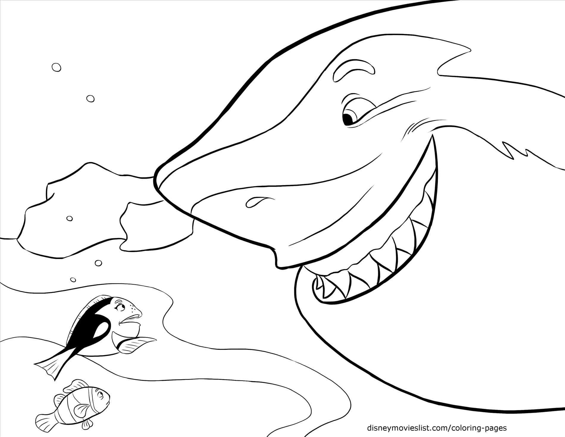 1899x1468 Dory And Squishy Coloring Pages Online Coloring Printable