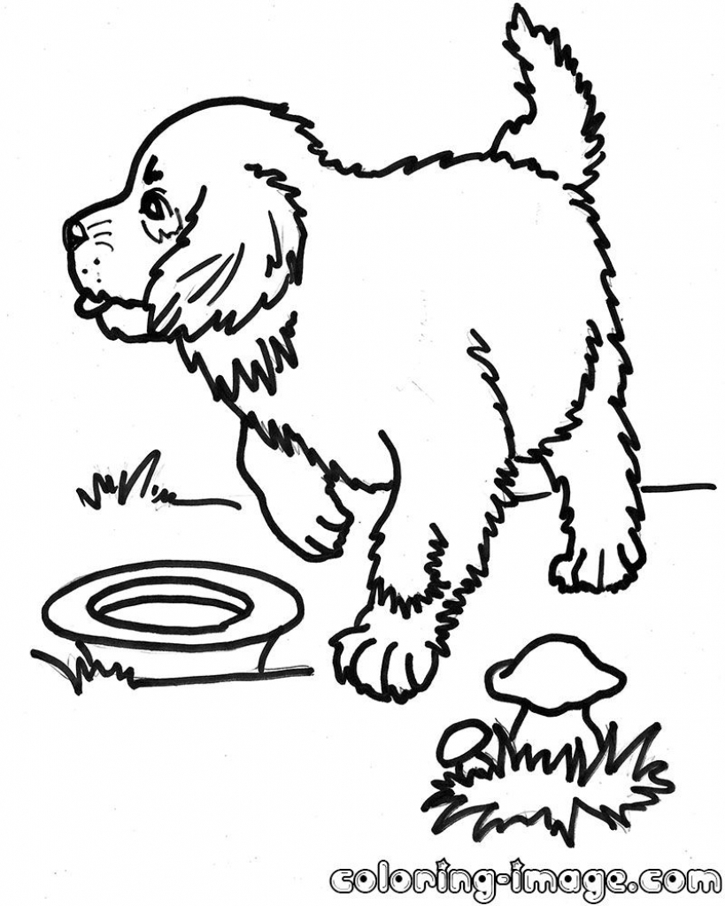 819x1024 Saint Bernard Coloring Pages Collection Coloring For Kids
