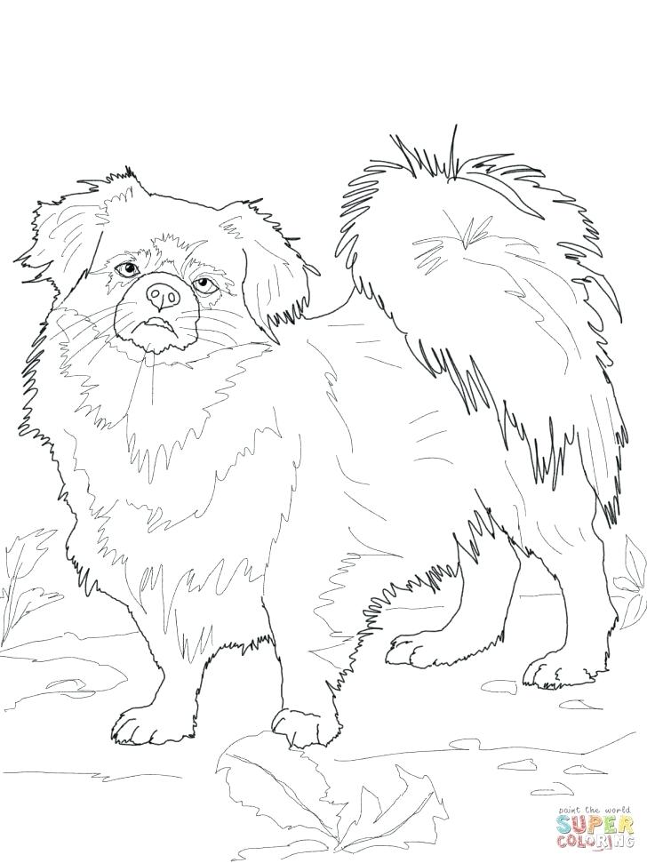 728x971 St Bernard Dog Coloring Pages Saint Fuhrer Von