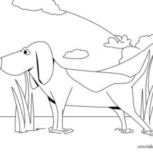 220x220 St Bernard Coloring Pages