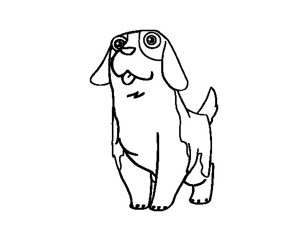 600x470 Young St Bernard Coloring Page
