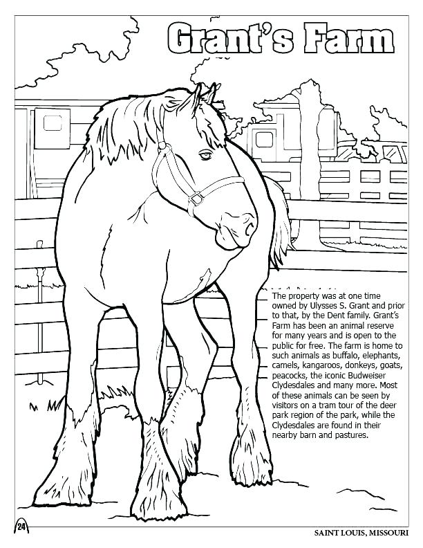 612x792 St Louis Cardinals Coloring Pages Catholic Coloring Pages Of St