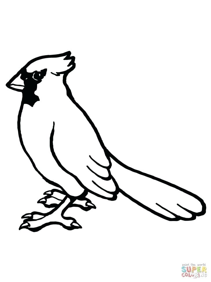 728x971 Cardinal Coloring Pages Cardinal Coloring Page With Wallpapers
