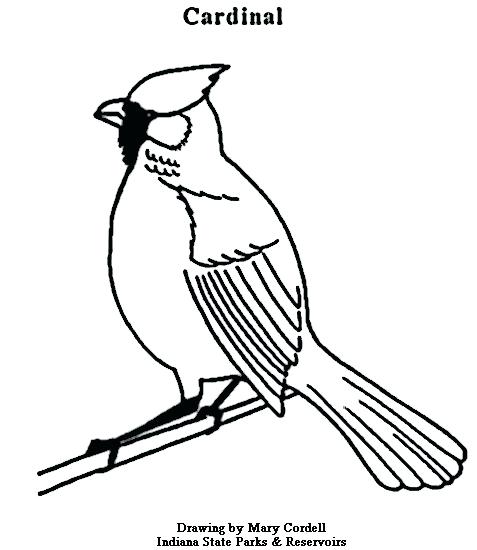 477x550 Cardinal Coloring Pages Coloring Pages Animals St Louis Cardinals