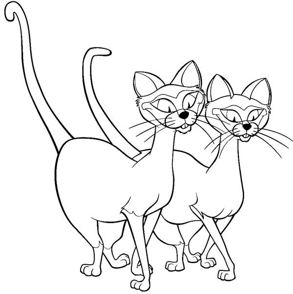 600x601 Siamese Coloring Pages