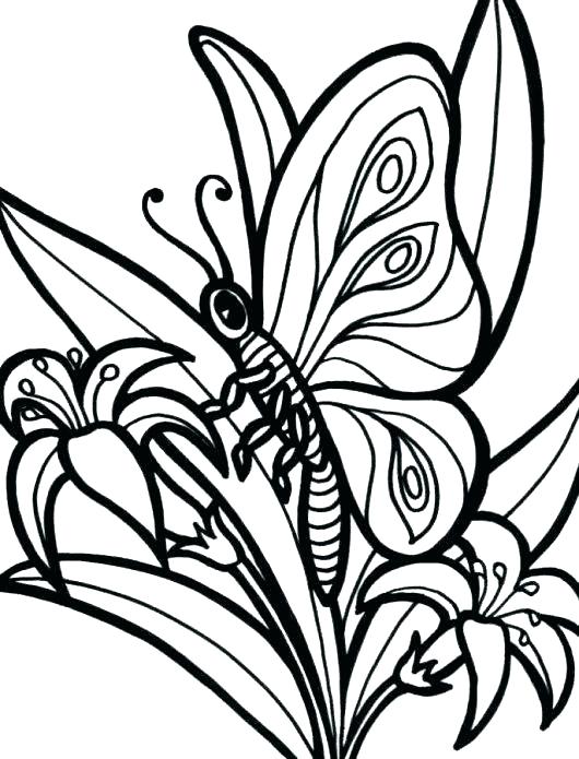 530x695 Coloring Pattern Pages Stained Glass Coloring Printable Adult