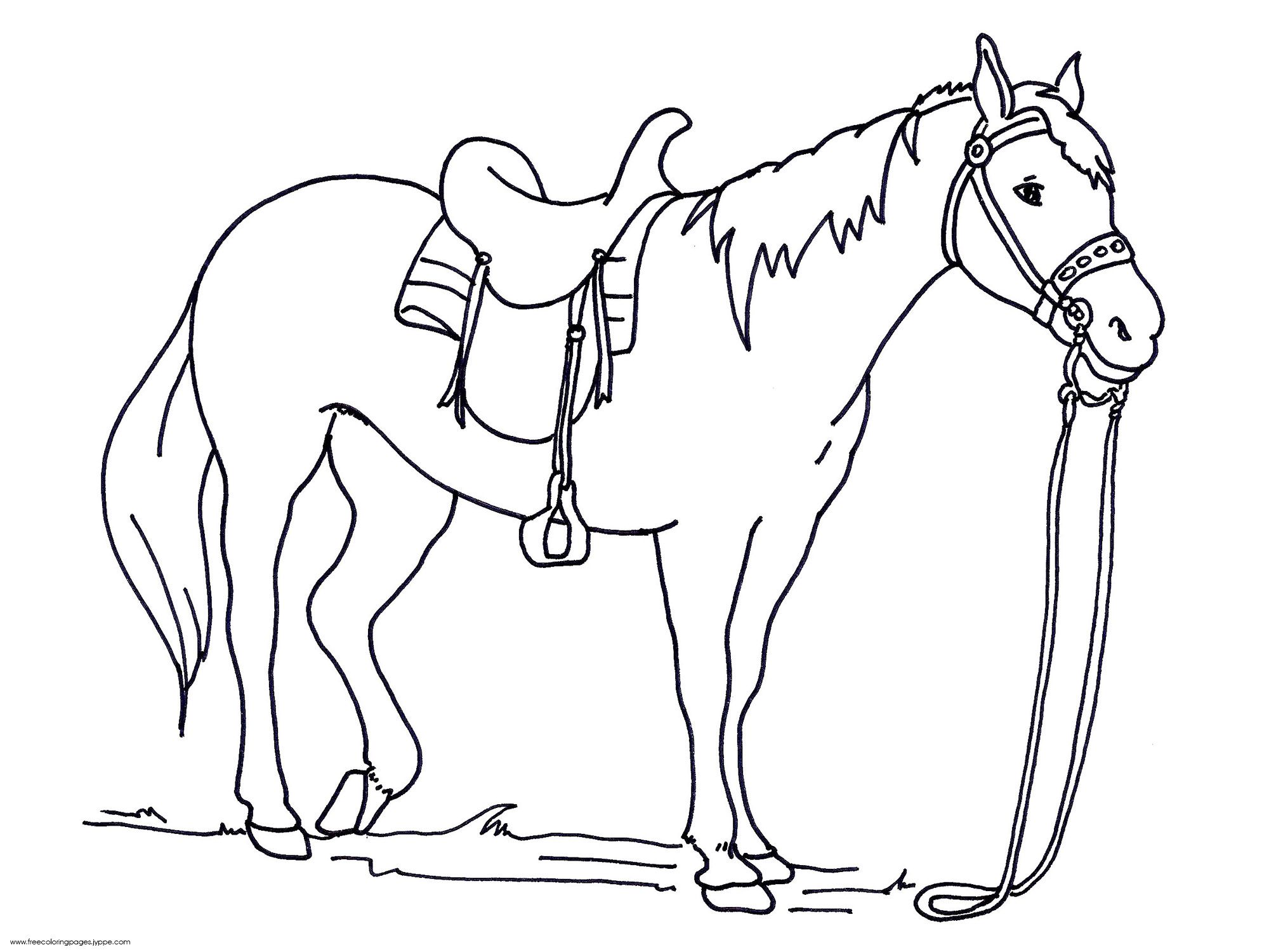 2000x1500 Excellent Colouring In Horses Horse Coloring Pages Futpal Com