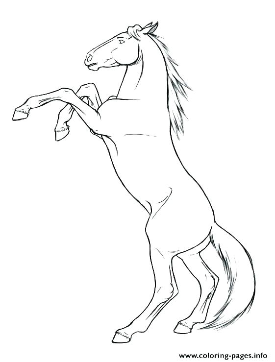 561x739 Mustang Horse Coloring Pages Horses Coloring Pages Printable Also