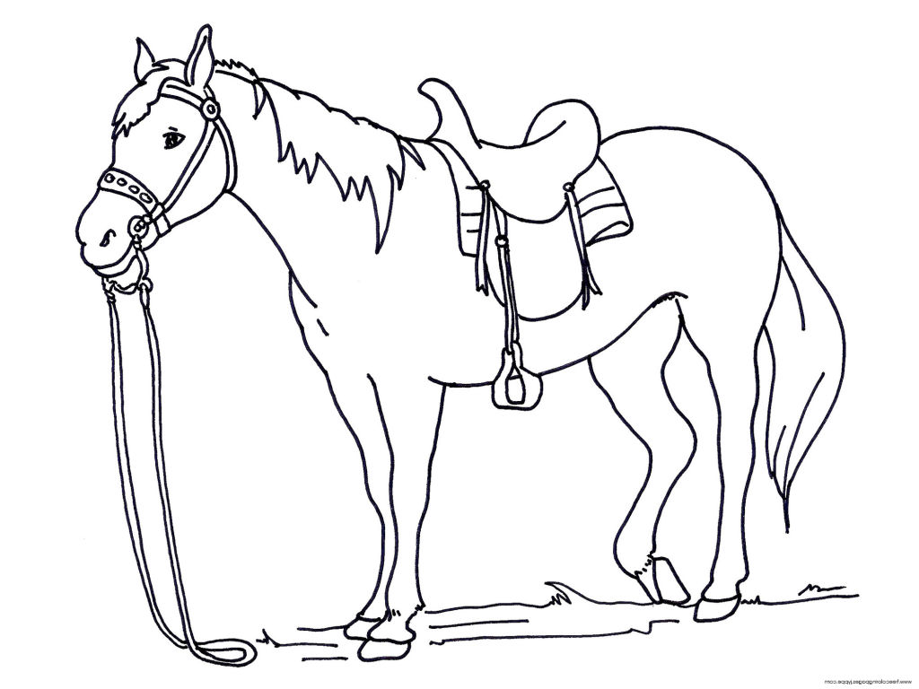1024x768 Bold Design Horses Coloring Pages Fresh Printable Horse On Free