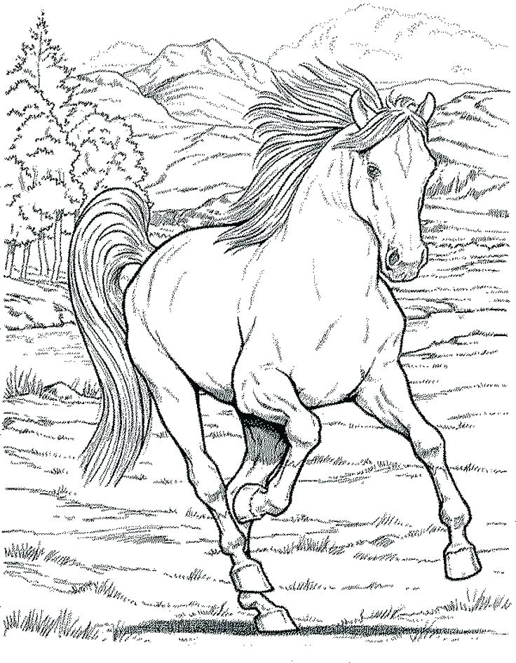 736x945 Breyer Coloring Pages Coloring Pages Coloring Pages Horse Coloring