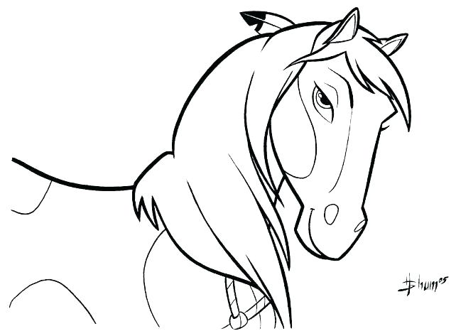 642x473 Coloring Pages Horse Baby Horse Coloring Pages Horse Coloring Page