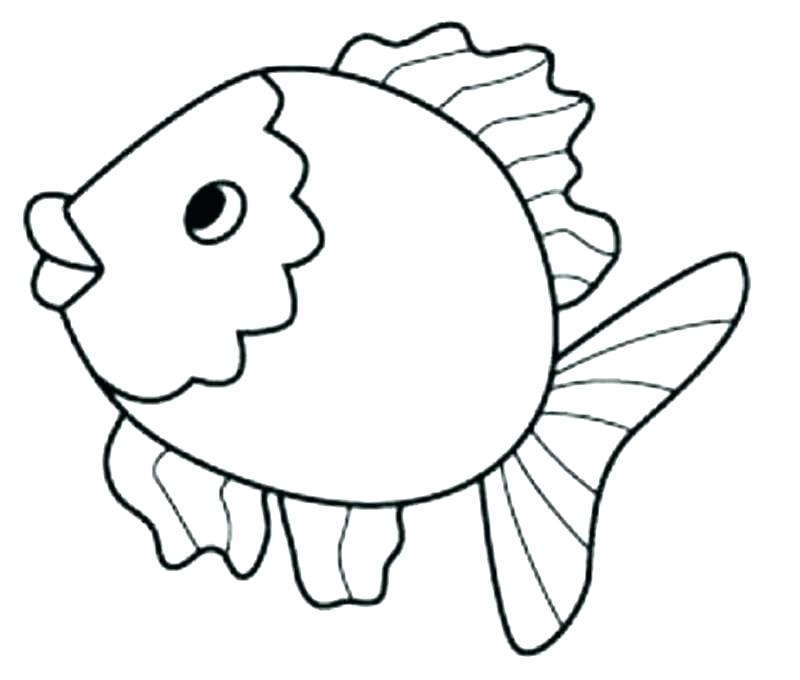 800x680 Starfish Coloring Pages Star Fish Coloring Page Star Fish Coloring