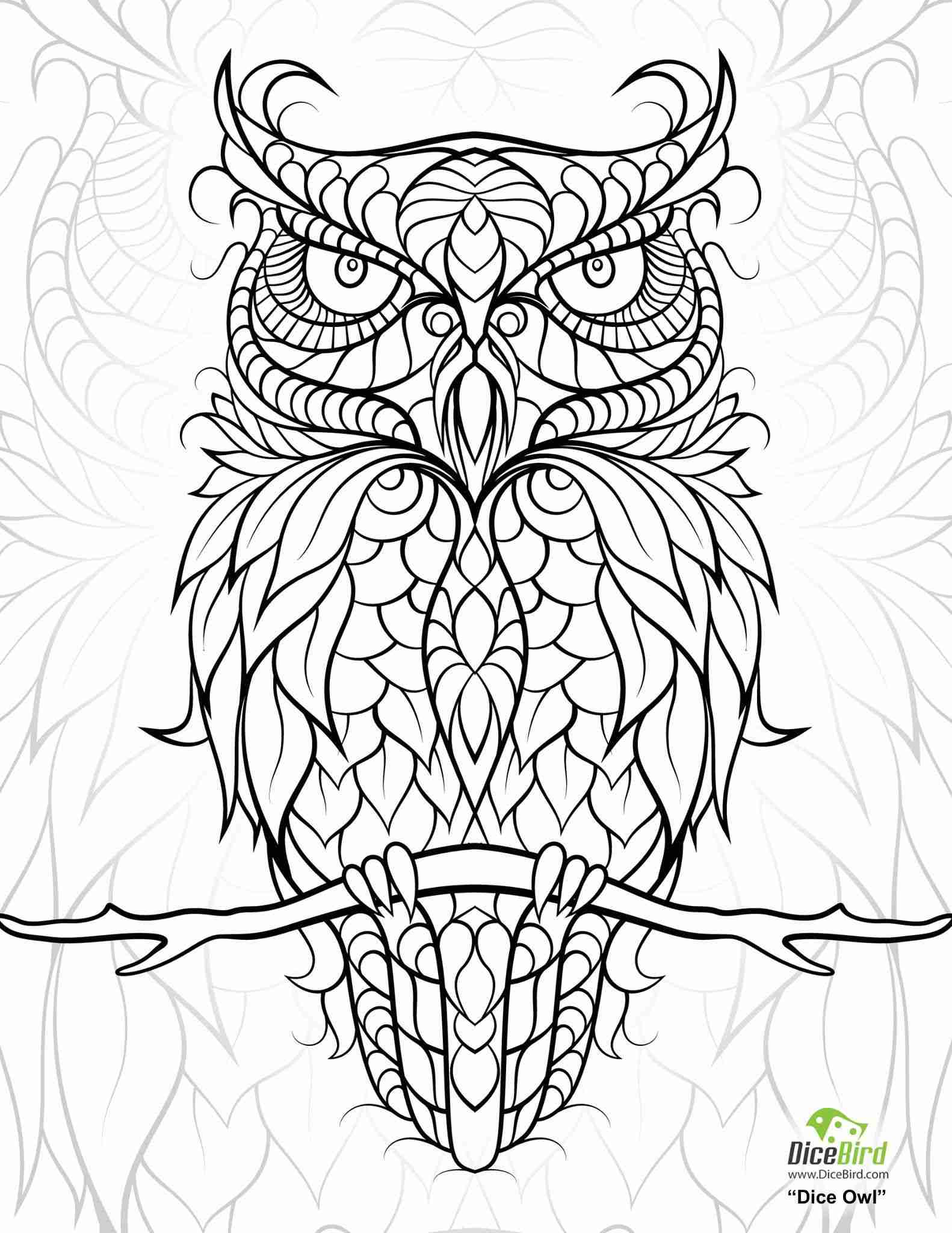 1582x2048 Star Mandala Coloring Pages Best Of Owl Tearing Olegratiy
