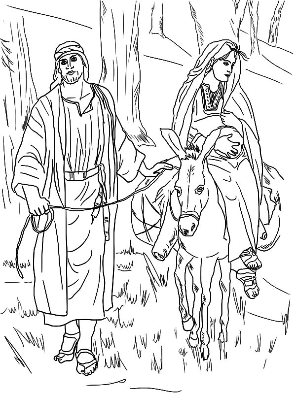 600x800 Mary And The Donkey Followed